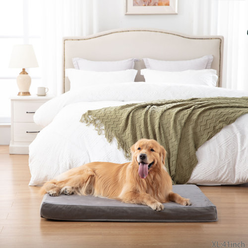 Tucker Murphy Pet™ Orthopedic Memory Foam Dog Bed, Cooling Dog Beds